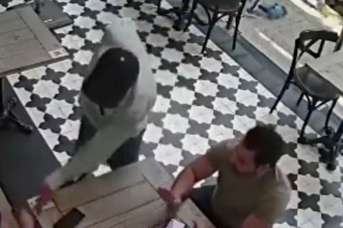 A plena luz del día, sufren asalto en un restaurante de Polanco