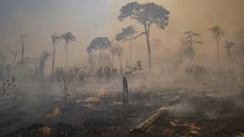 Deforestación en la Amazonia está fuera de control: Greenpeace