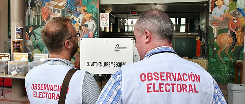 Observador electoral