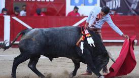 ¿Adiós a las corridas de toros en Guanajuato? Diputados analizan prohibir la “fiesta brava”