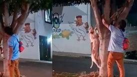 Hombre ahorca a perrito en calles de Michoacán