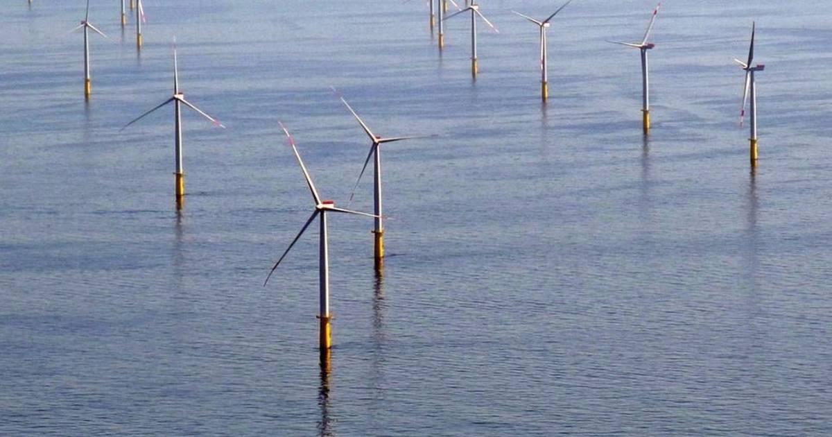 Science.  – Offshore wind farms affect ecosystems – Publimetro México
