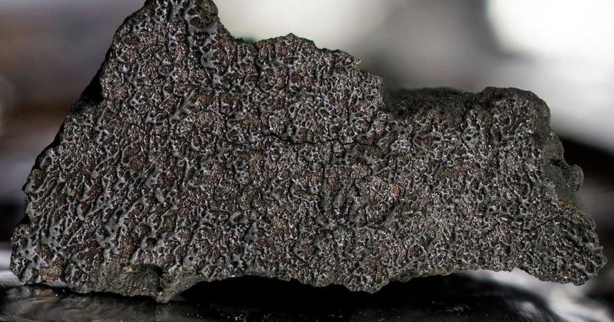 Science.-A 2021 Meteorite Contains All the Ingredients for Life – Publimetro México