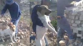 Niños arrojan perrito a un pozo de 15 metros de profundidad en Guanajuato