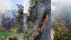 Incendio acecha al parque La Mexicana en la CDMX
