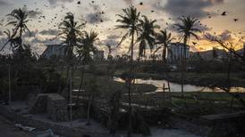 Regresa ola de violencia tras paso de huracán Otis a Acapulco