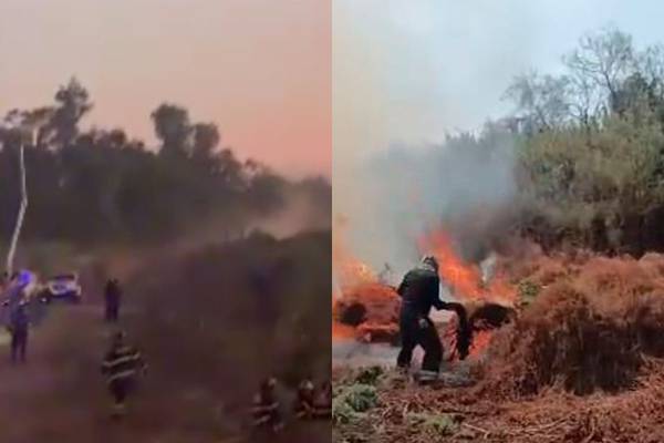 Incendio de pastizal en Naucalpan ensombrece zonas de Azcapotzalco con humo y cenizas 
